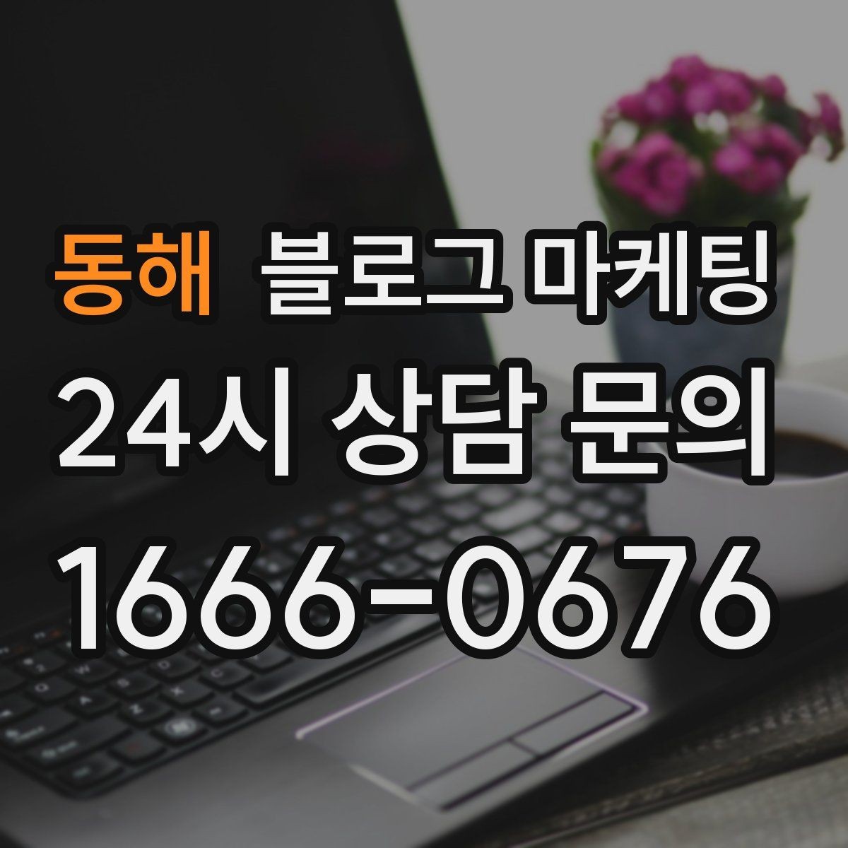 동해 블로그 마케팅 상가 몰 안쪽 점포가 살아남는 검색 노출 전략