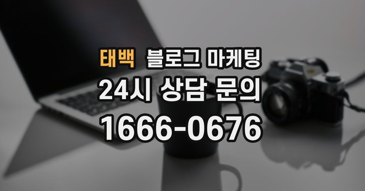 태백 블로그 마케팅