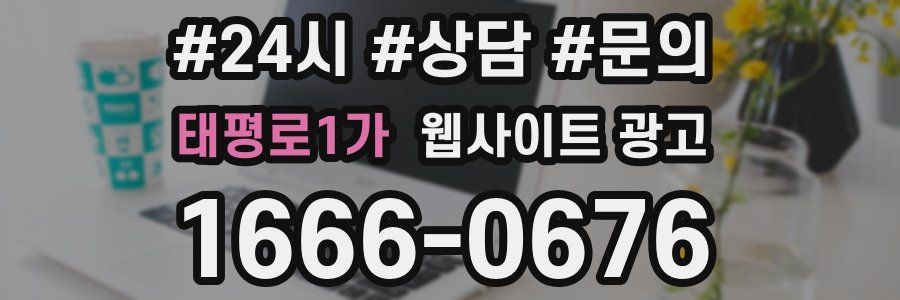 태평로1가 웹사이트 광고