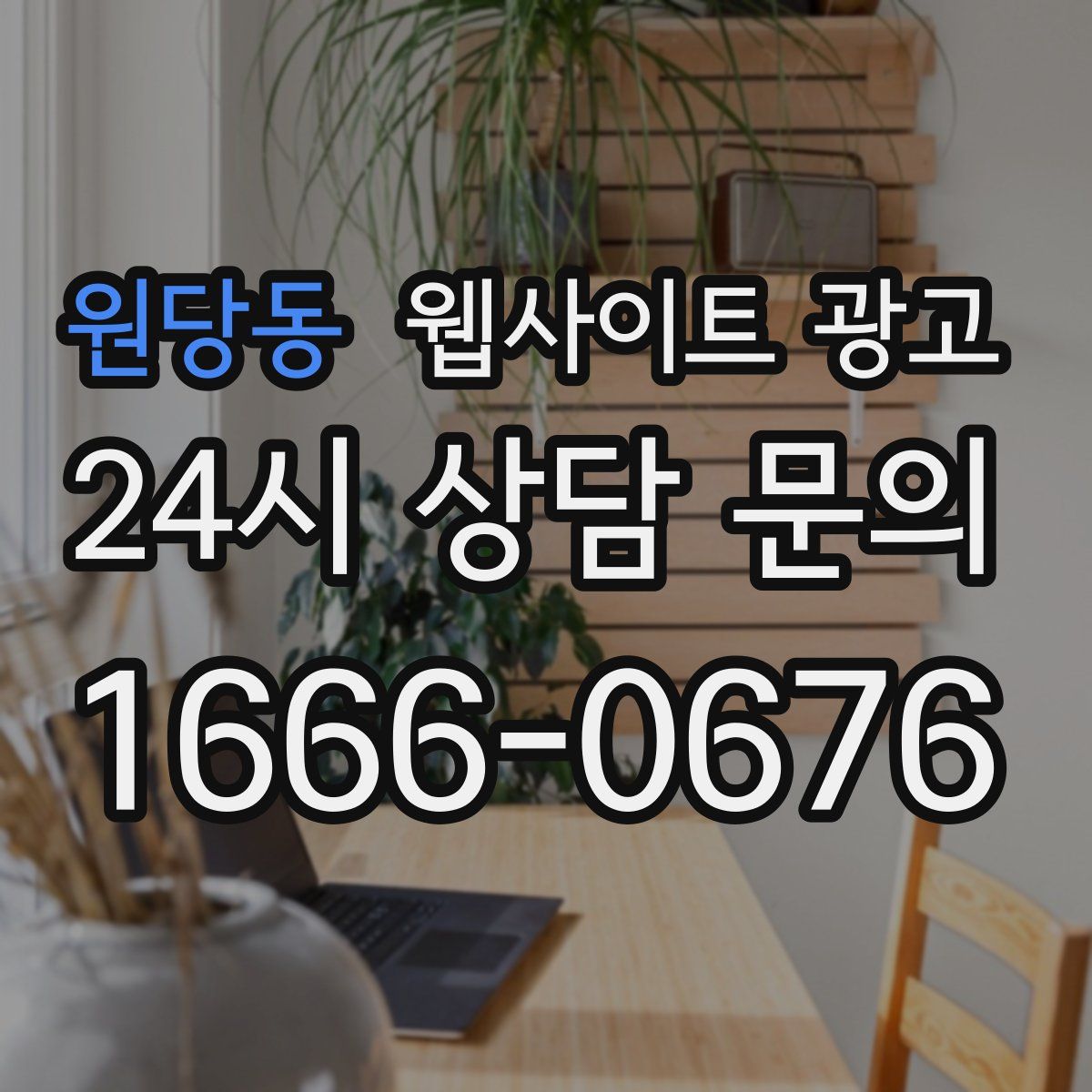 원당동 웹사이트 광고