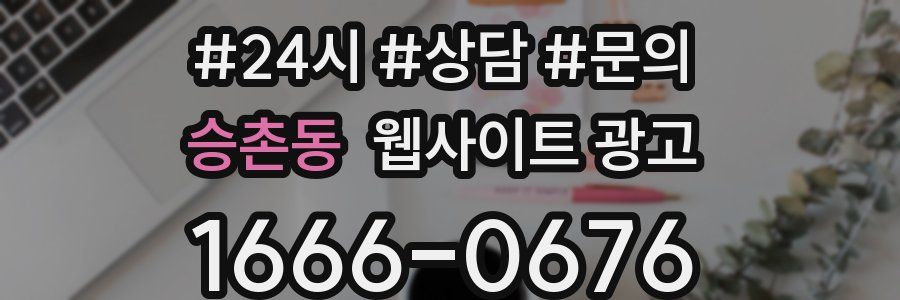 승촌동 웹사이트 광고