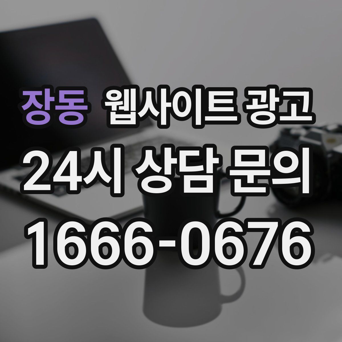 장동 웹사이트 광고