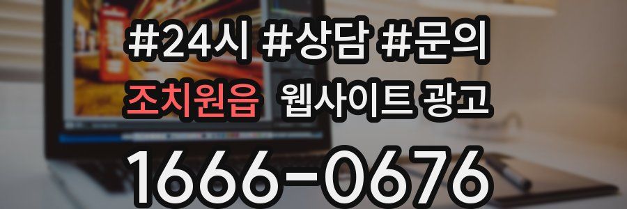 조치원읍 웹사이트 광고