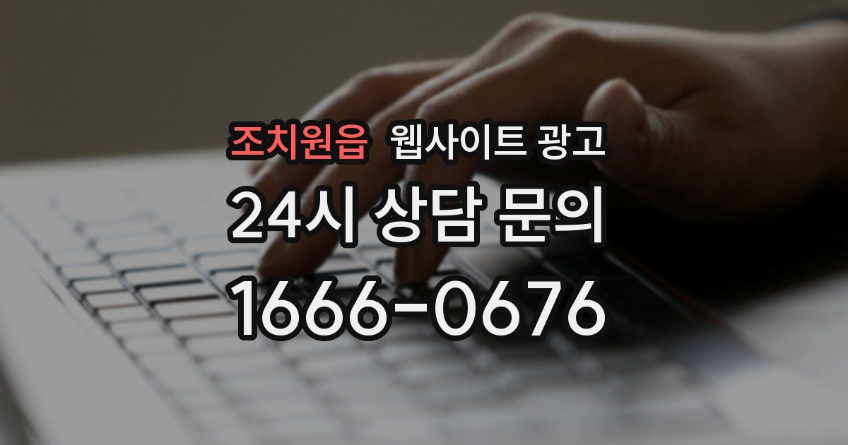 조치원읍 웹사이트 광고