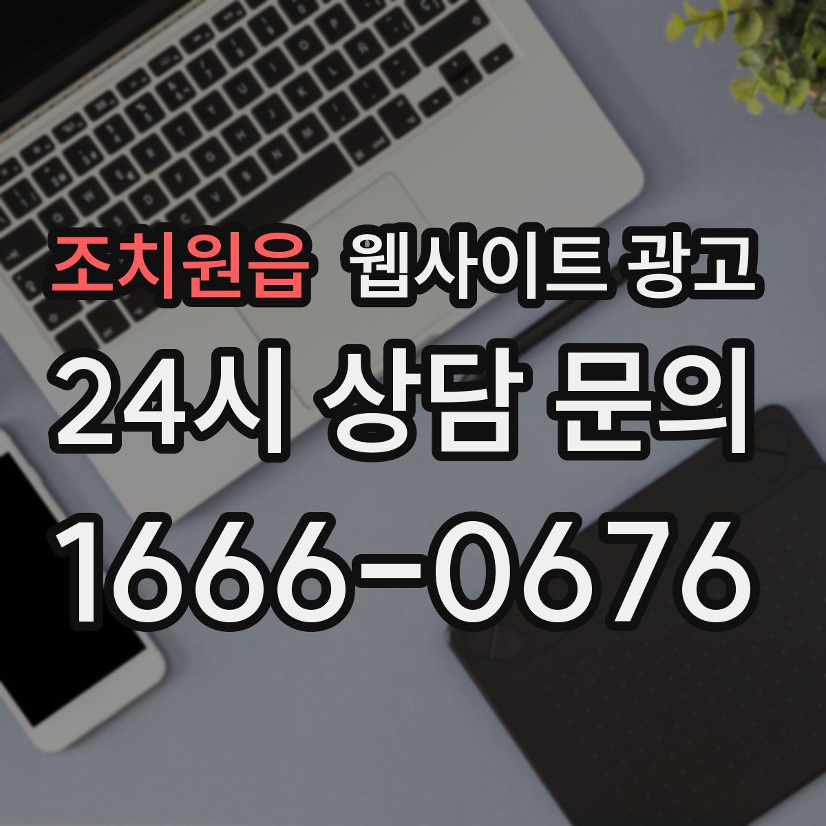조치원읍 웹사이트 광고