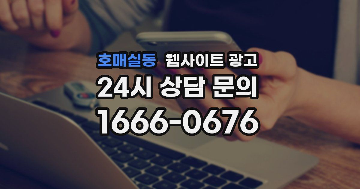 호매실동 웹사이트 광고