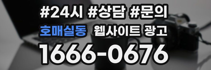 호매실동 웹사이트 광고