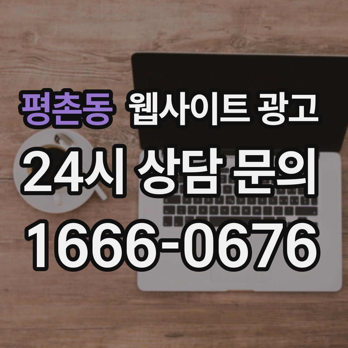평촌동 웹사이트 광고
