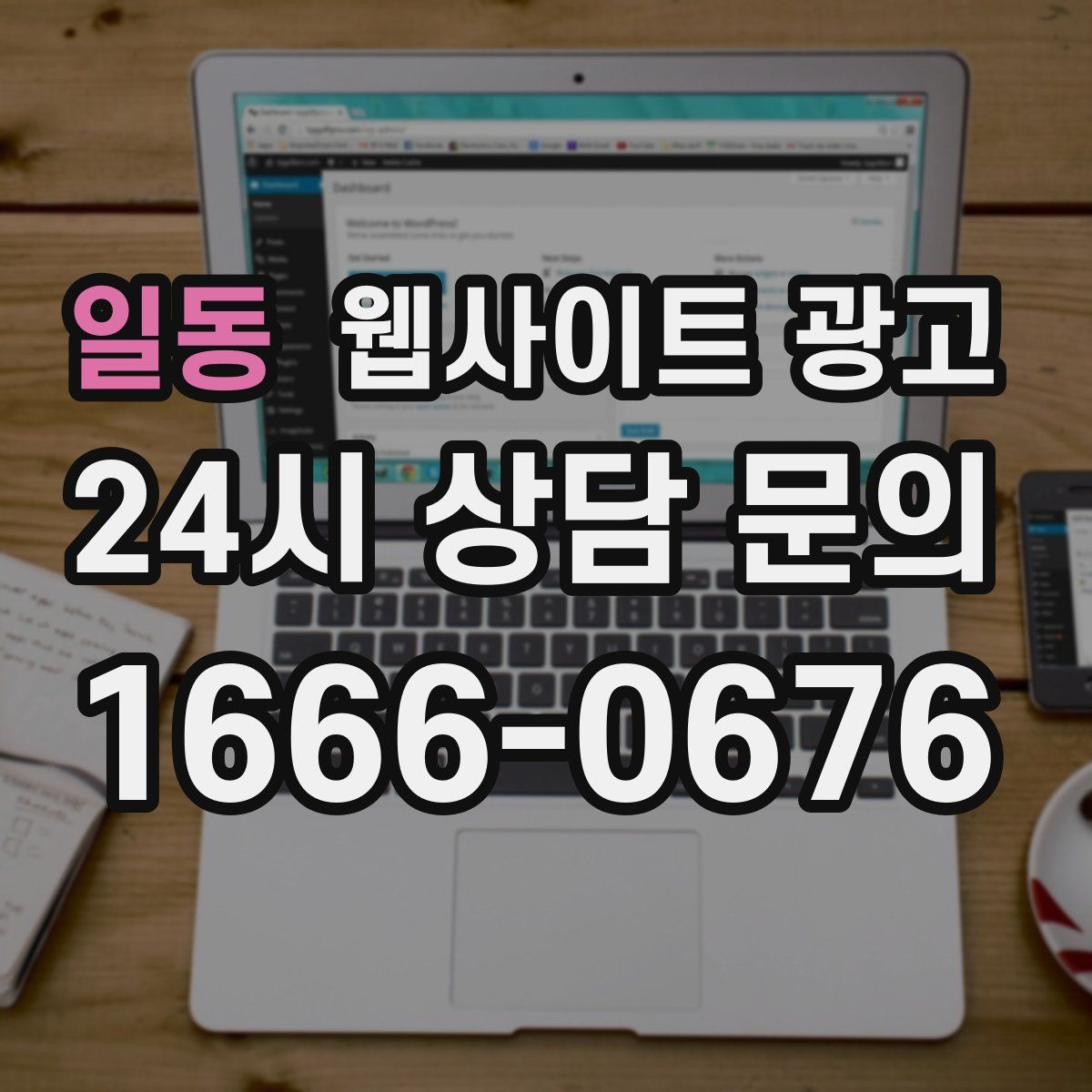일동 웹사이트 광고