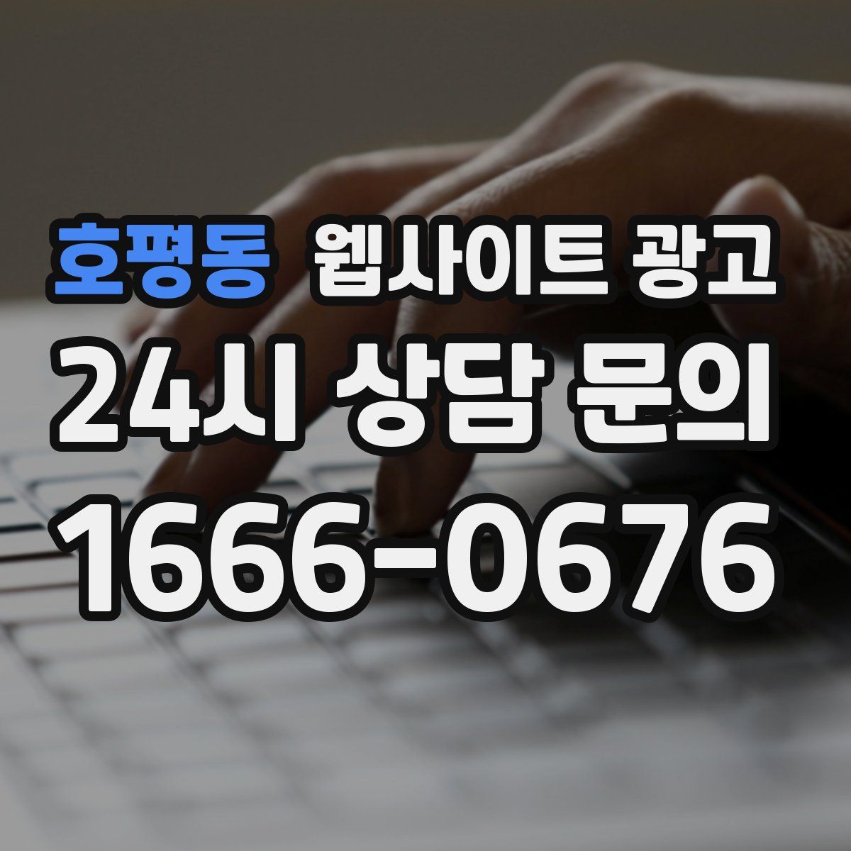 호평동 웹사이트 광고