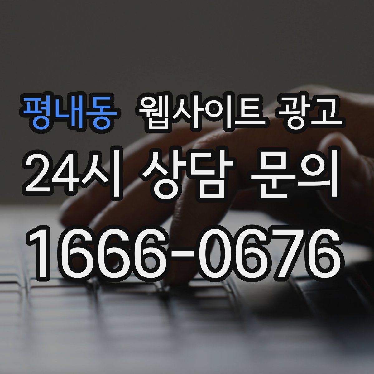평내동 웹사이트 광고