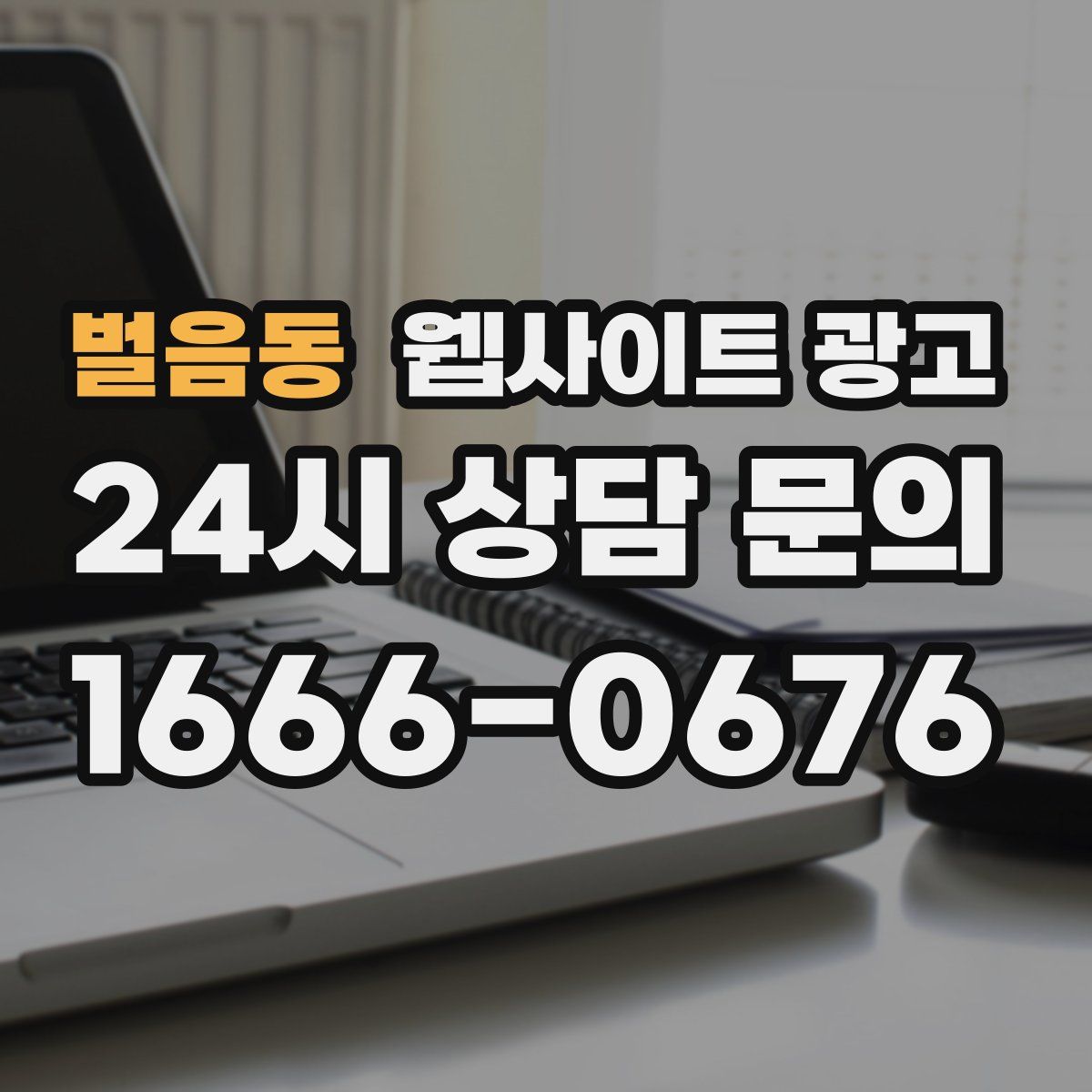 벌음동 웹사이트 광고