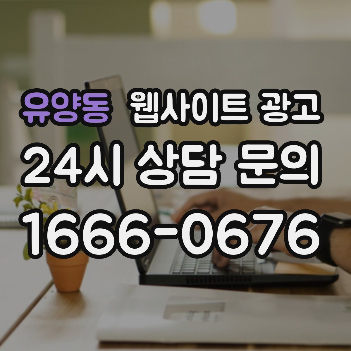 유양동 웹사이트 광고