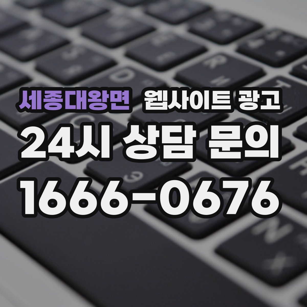 세종대왕면 웹사이트 광고