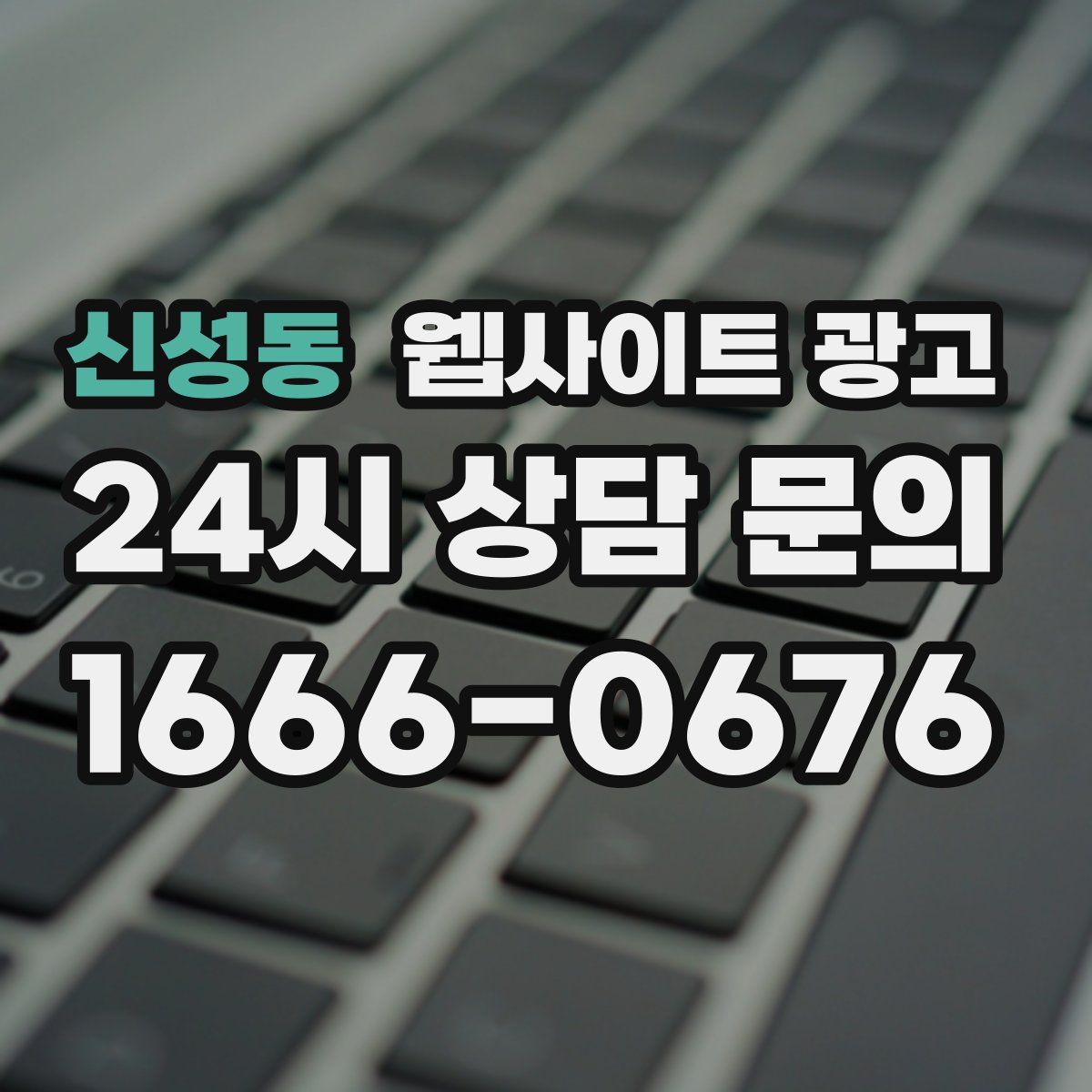 신성동 웹사이트 광고