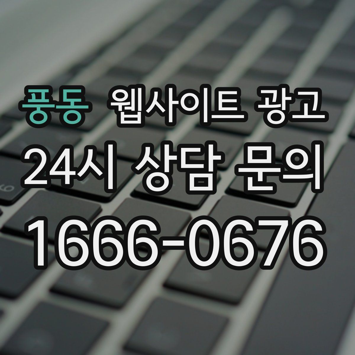 풍동 웹사이트 광고