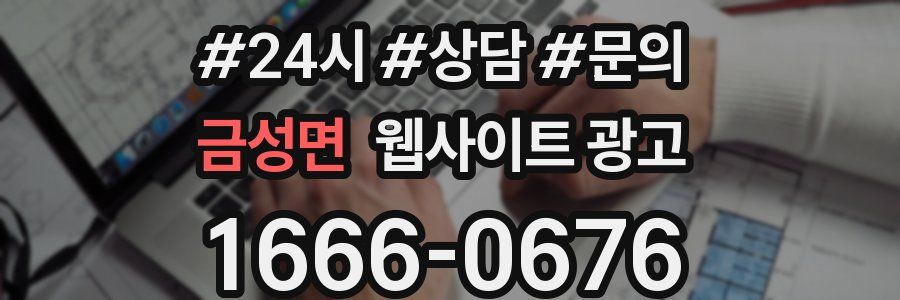 금성면 웹사이트 광고