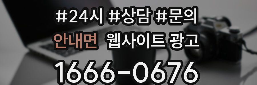 안내면 웹사이트 광고