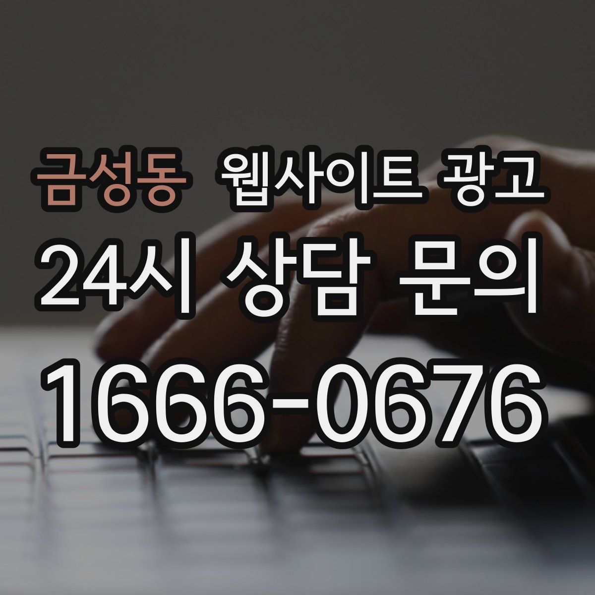 금성동 웹사이트 광고