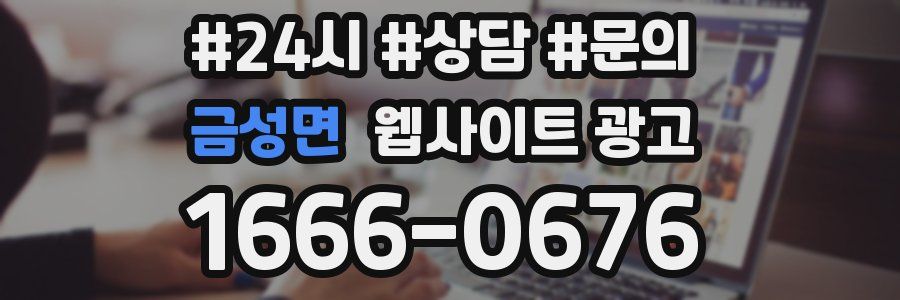 금성면 웹사이트 광고