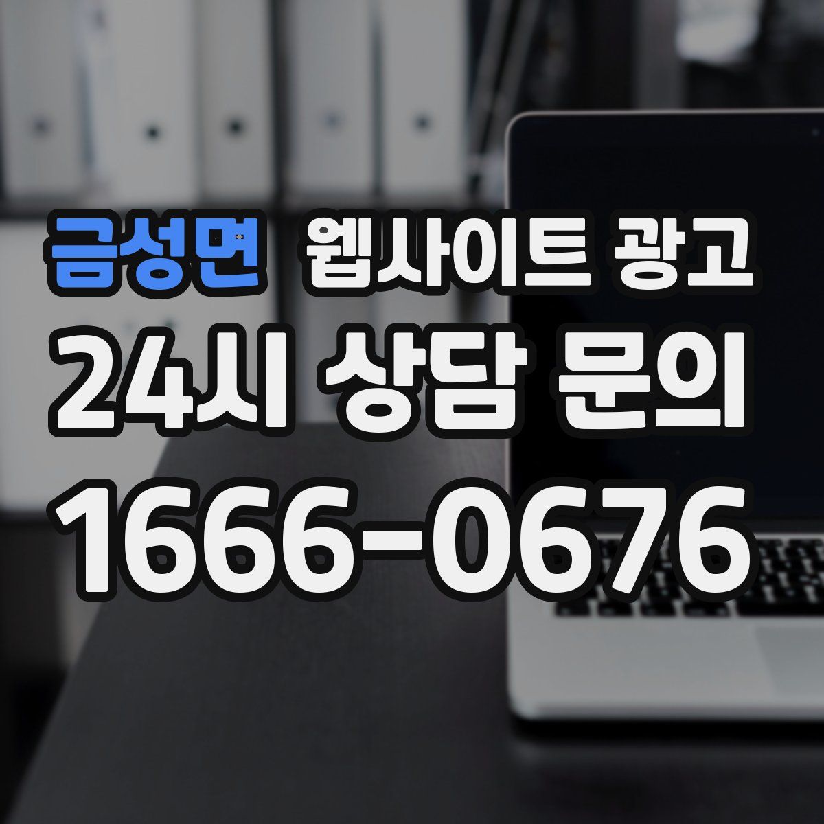 금성면 웹사이트 광고