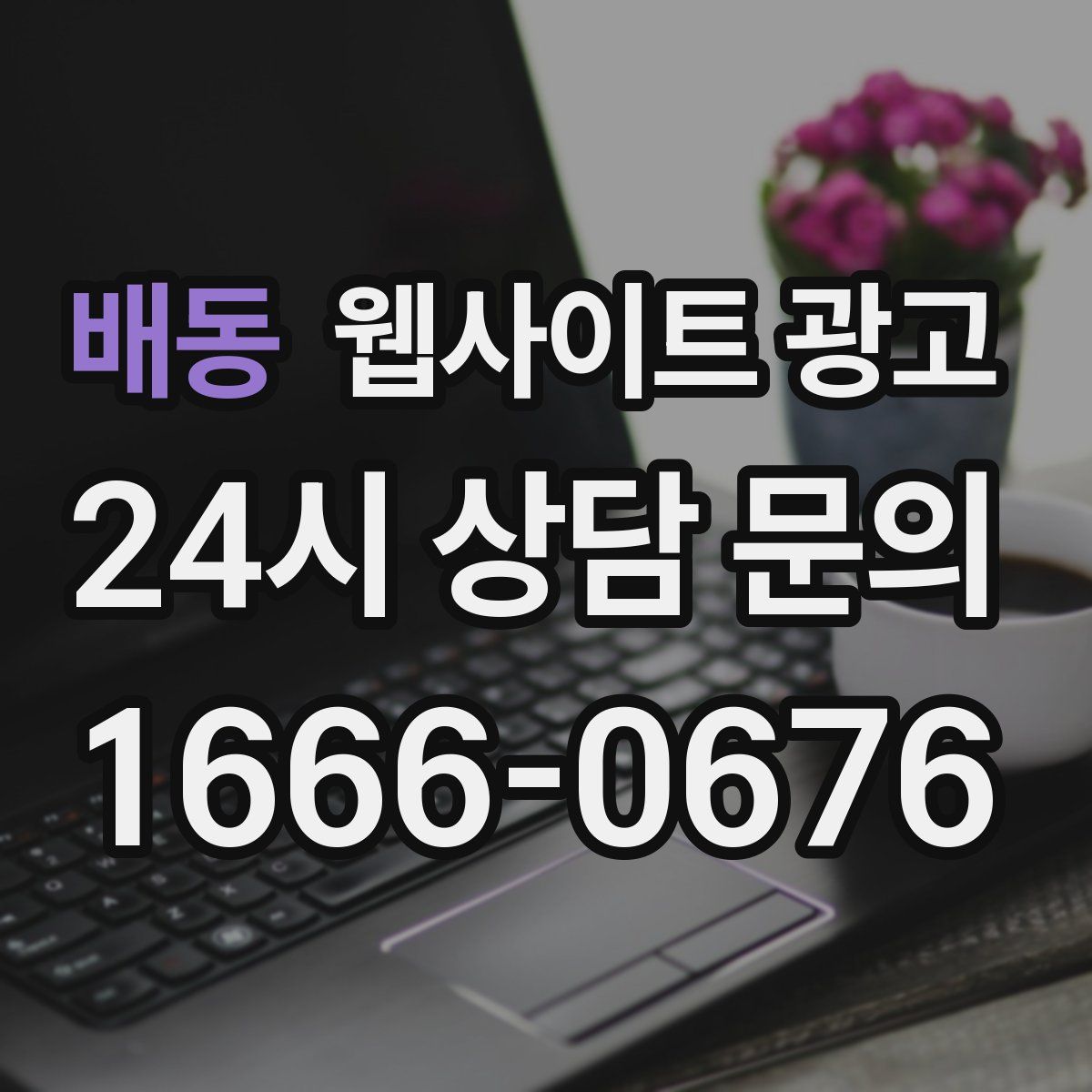 배동 웹사이트 광고