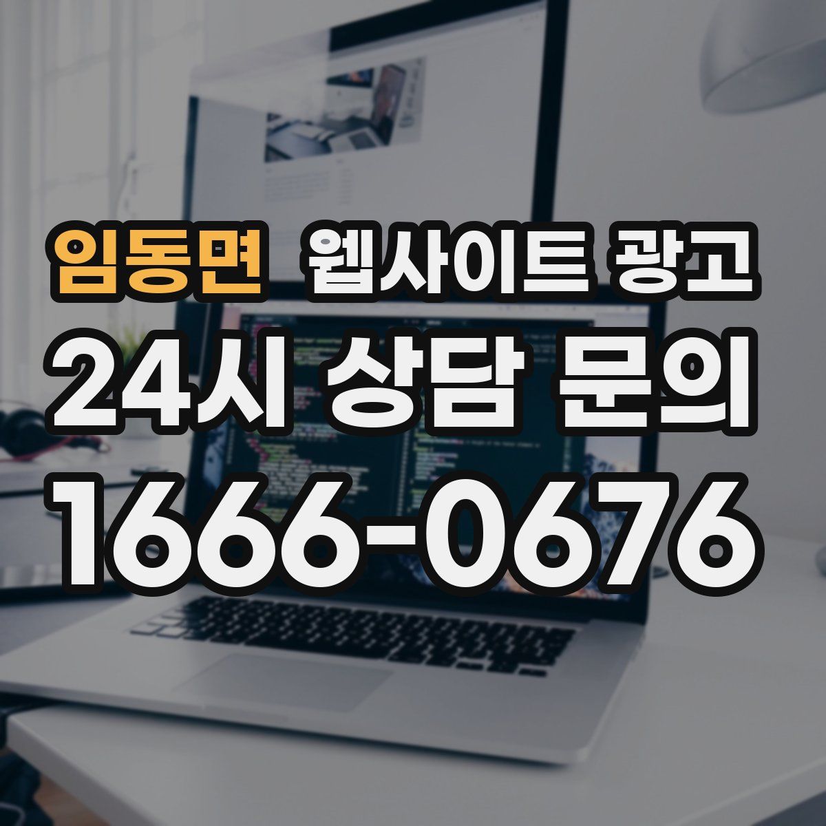 임동면 웹사이트 광고