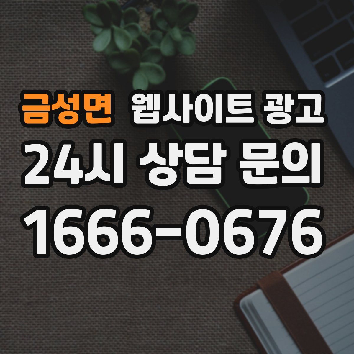 금성면 웹사이트 광고