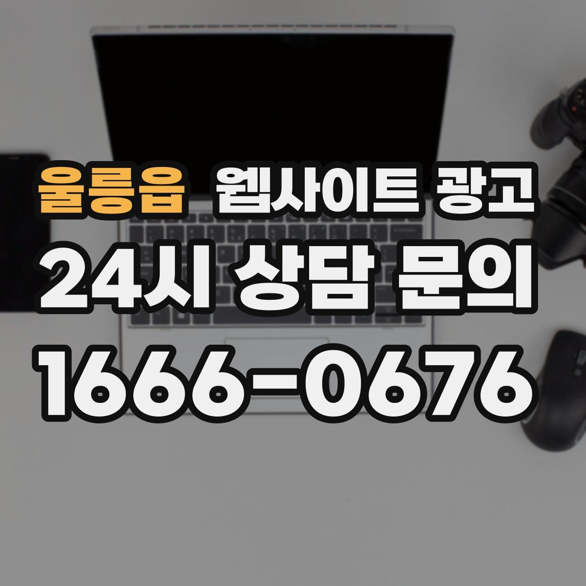 울릉읍 웹사이트 광고