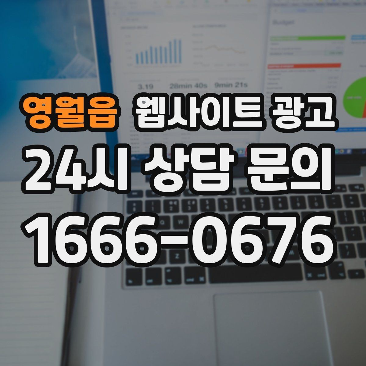 영월읍 웹사이트 광고 방문형 업종에 필요한 지역 반경 안내 구성