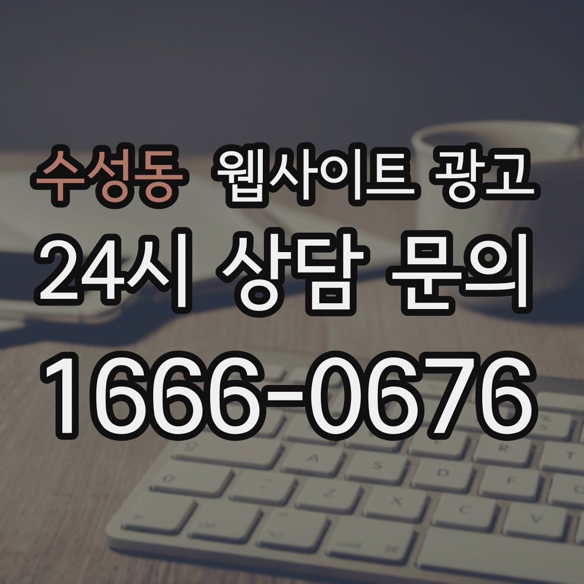 수성동 웹사이트 광고