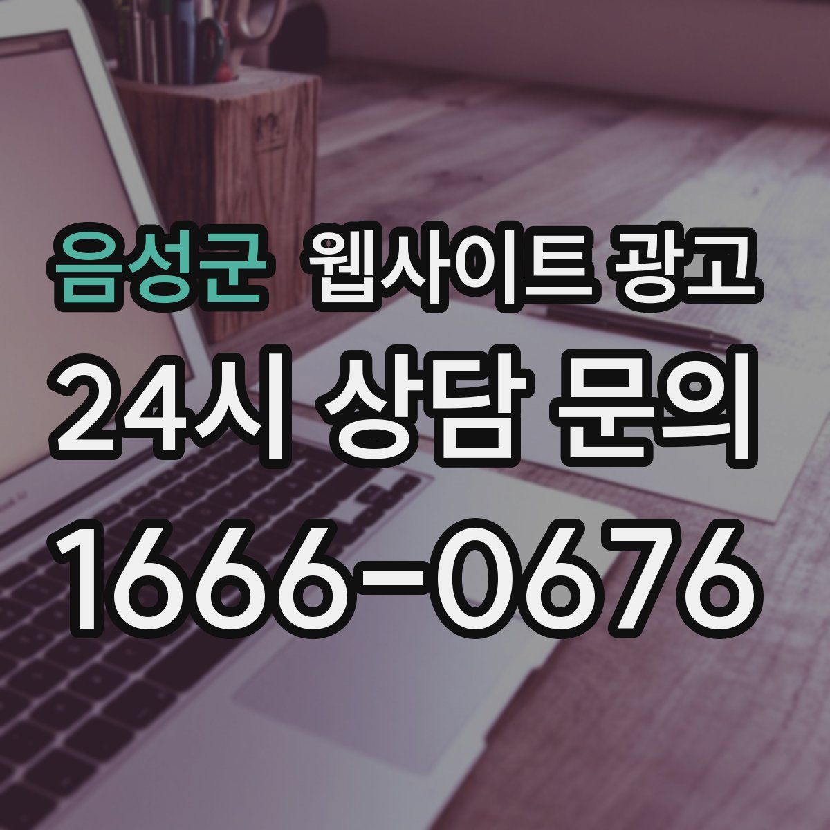 음성군 웹사이트 광고