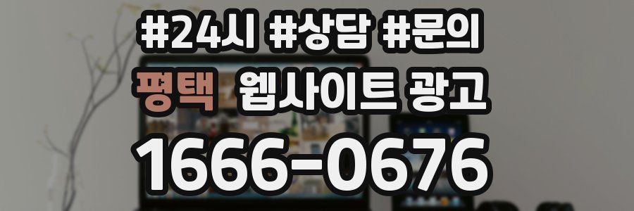 평택 웹사이트 광고