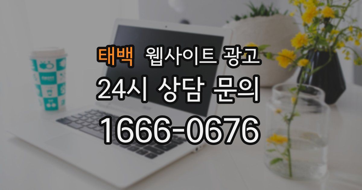 태백 웹사이트 광고