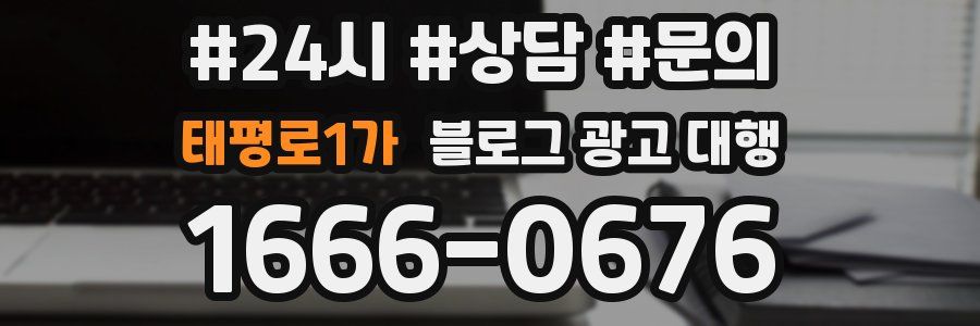태평로1가 블로그 광고 대행