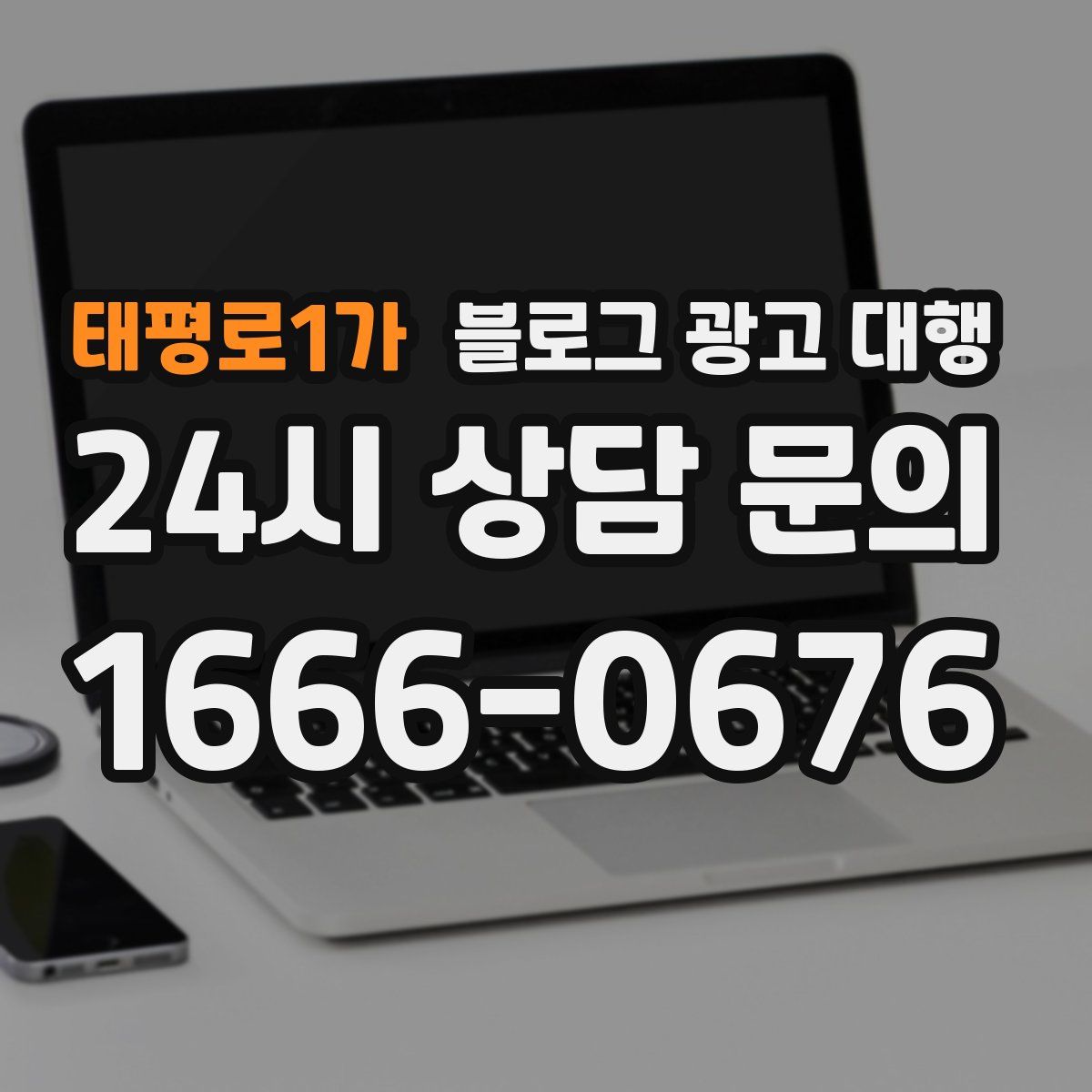 태평로1가 블로그 광고 대행