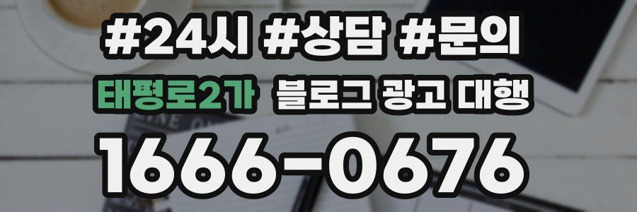 태평로2가 블로그 광고 대행