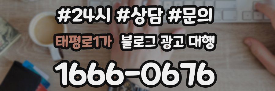 태평로1가 블로그 광고 대행