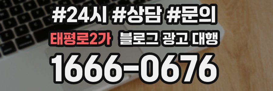 태평로2가 블로그 광고 대행