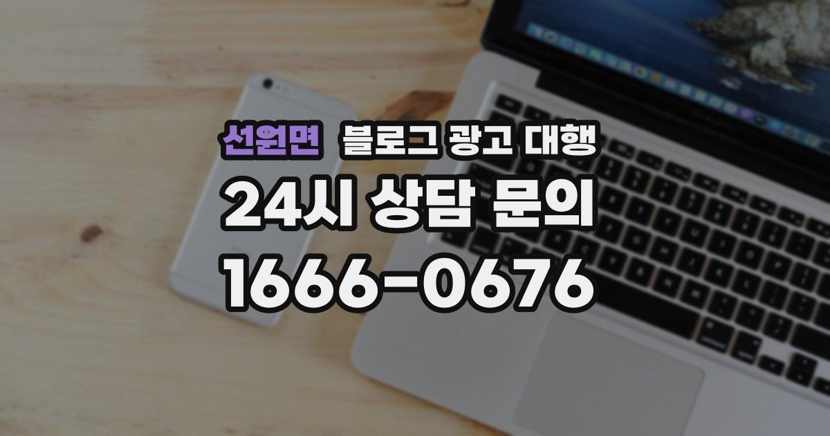 선원면 블로그 광고 대행