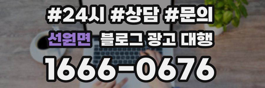 선원면 블로그 광고 대행