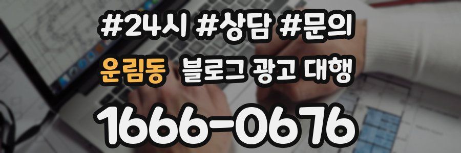 운림동 블로그 광고 대행