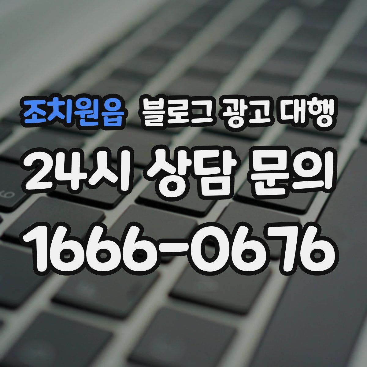 조치원읍 블로그 광고 대행