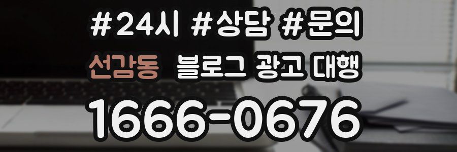 선감동 블로그 광고 대행