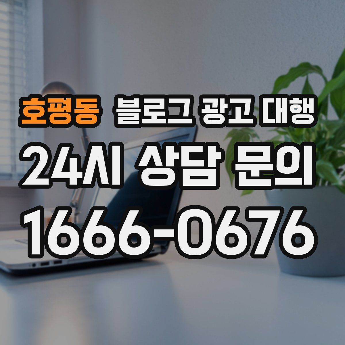 호평동 블로그 광고 대행