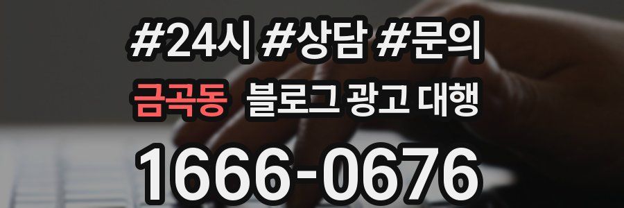 금곡동 블로그 광고 대행