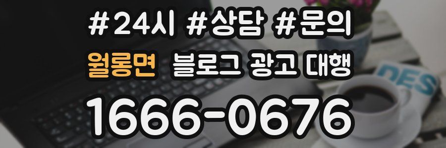 월롱면 블로그 광고 대행