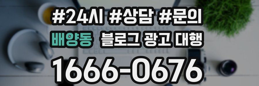 배양동 블로그 광고 대행