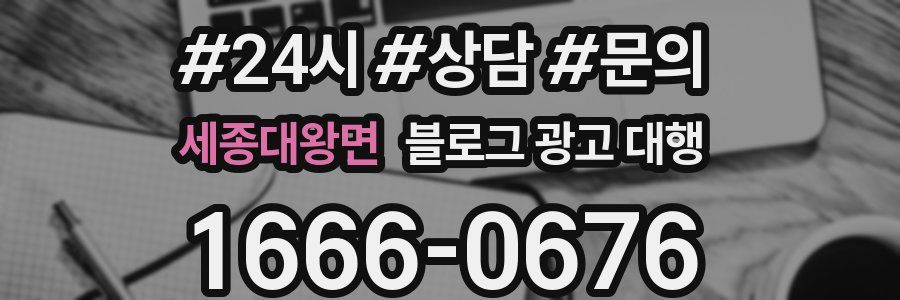 세종대왕면 블로그 광고 대행