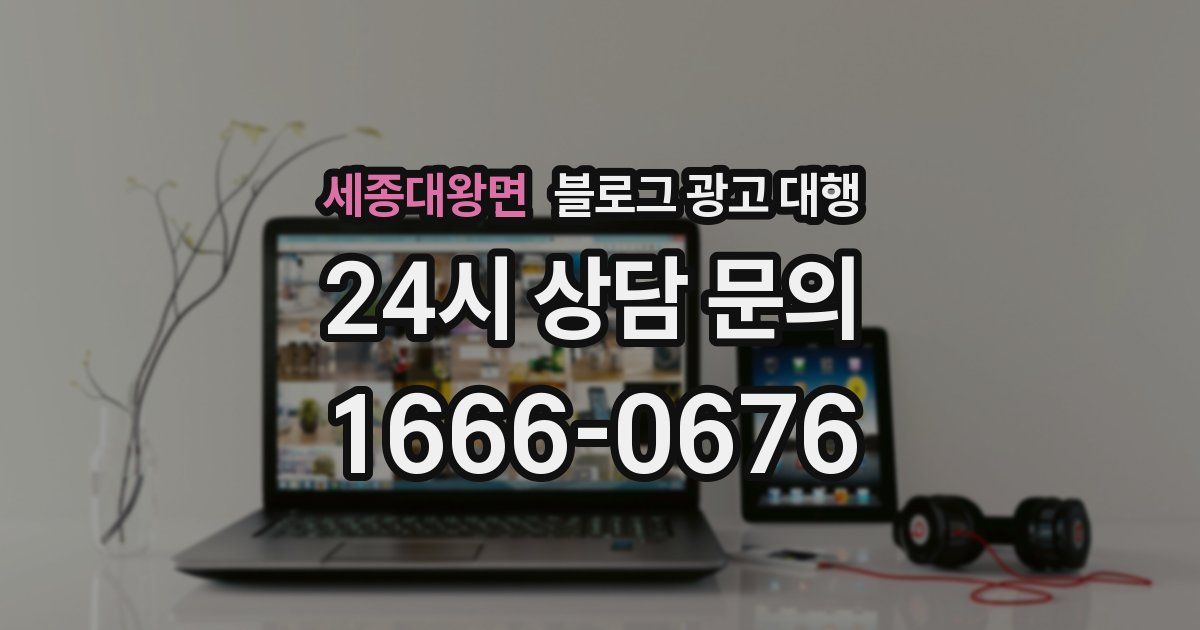 세종대왕면 블로그 광고 대행